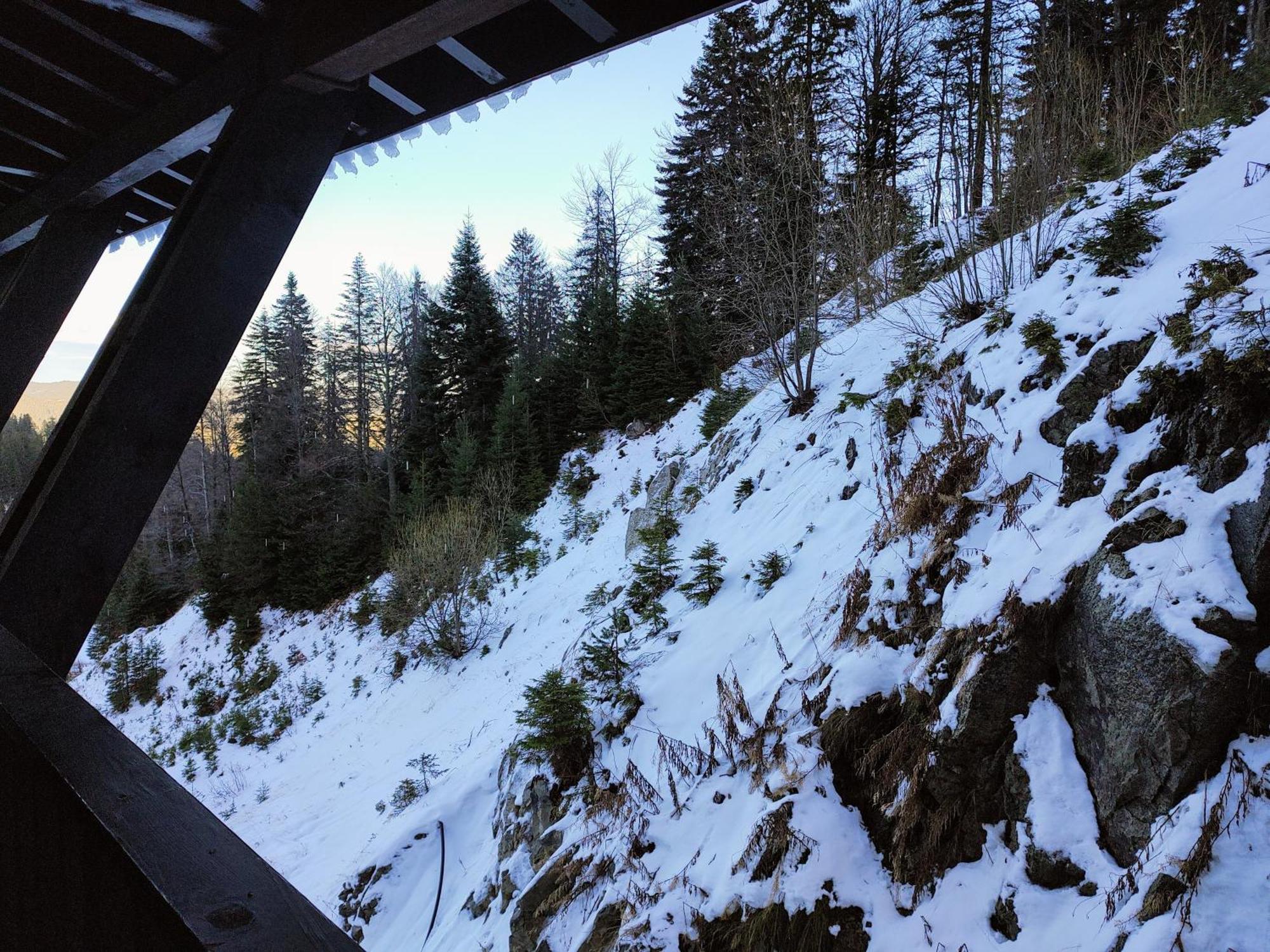 Arendo Ski Апартамент В Grand Monastery Pamporovo Bagian luar foto